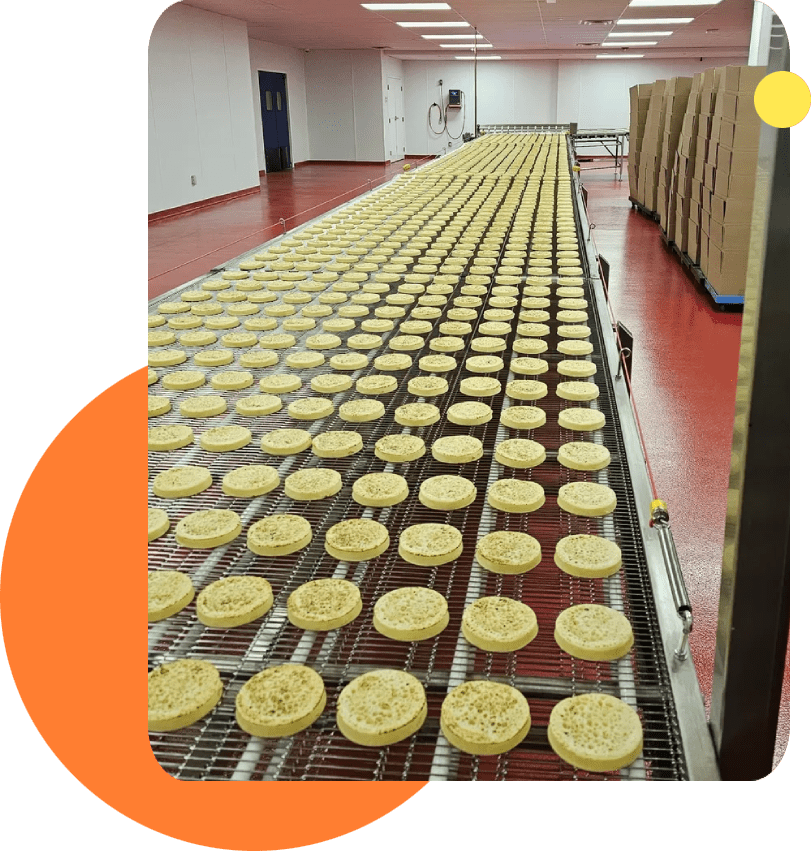 A conveyor belt with many cookies on it